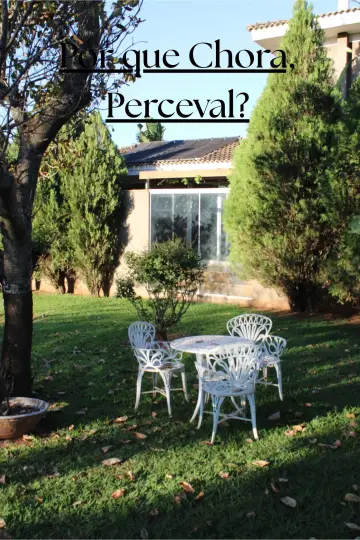 Plakat do filmu "Por que Chora, Perceval?" #958361