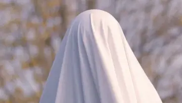 Zasłona do filmu "You Saw a Ghost" #1152440
