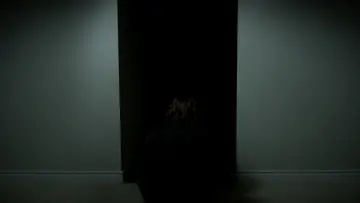 Zasłona do filmu "The Dulling" #1144237
