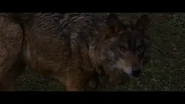 Zasłona do filmu "Cimarrón" #1144506