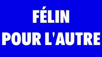 Zasłona do filmu "FÉLIN POUR L