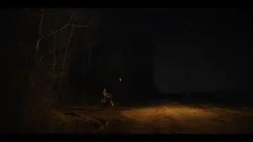 Zasłona do filmu "L