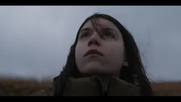 Zasłona do filmu "L