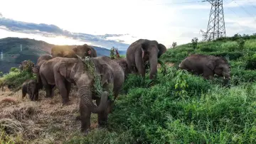 象行记