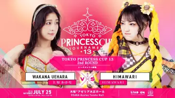 Zasłona do filmu "第13回東京プリンセスカップ" #1172687
