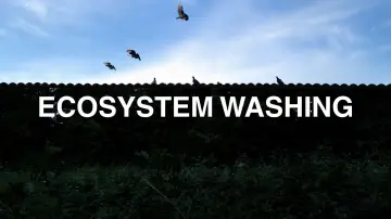 Zasłona do filmu "Ecosystem washing" #1177390