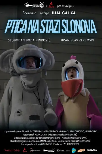 Ptica na stazi slonova
