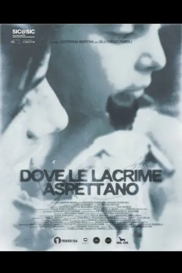 Dove le lacrime aspettano