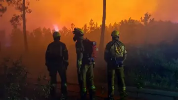 Zasłona do filmu "Incendies, innover pour mieux lutter" #1228298