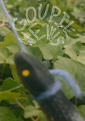 Goupil News