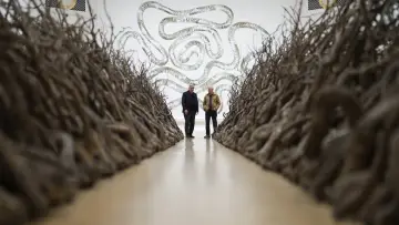 Zasłona do filmu "Andy Goldsworthy in Conversation with Andrew Graham-Dixon" #1349672