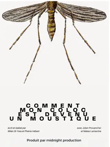 Comment mon coloc est devenu un moustique