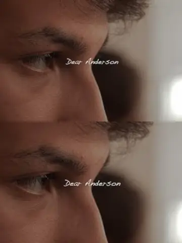 Dear Anderson plakat