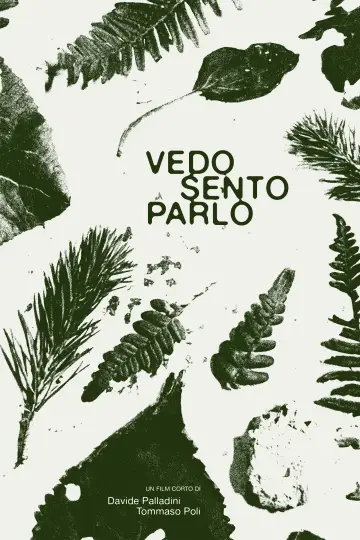 Vedo Sento Parlo plakat