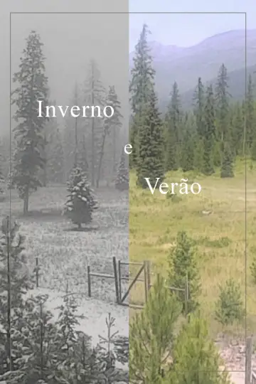 Plakat do filmu "Inverno e Verão" #1177503