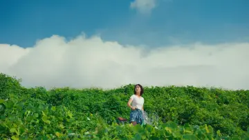 Zasłona do filmu "그날의 태주" #1572422