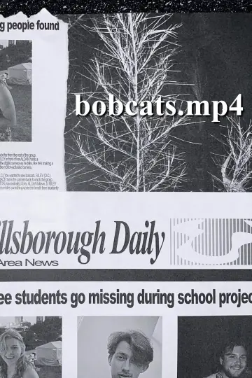 bobcats.mp4 plakat