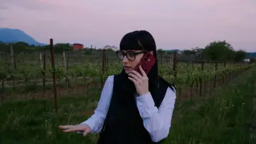 Zasłona do filmu "48H DI FOLLIA" #1144353