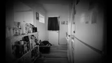 Zasłona do filmu "The Landlord" #1187480