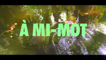 Zasłona do filmu "À MI-MOT" #1187445