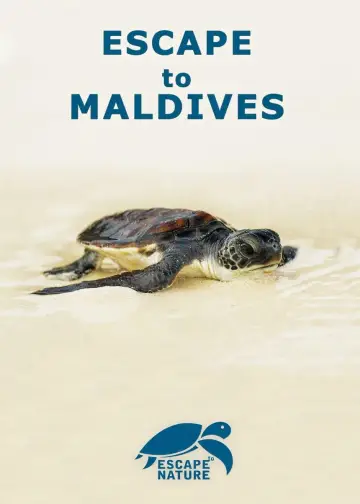 Plakat do filmu "Escape to Maldives" #1190954
