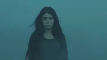 Zasłona do filmu "পেইন্ট অন ড্রাই লিফ" #1226870