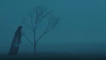 Zasłona do filmu "পেইন্ট অন ড্রাই লিফ" #1226871