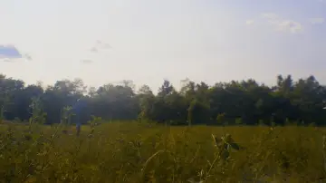 Zasłona do filmu "AGAIN" #1196423