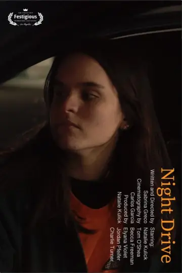 Night Drive plakat