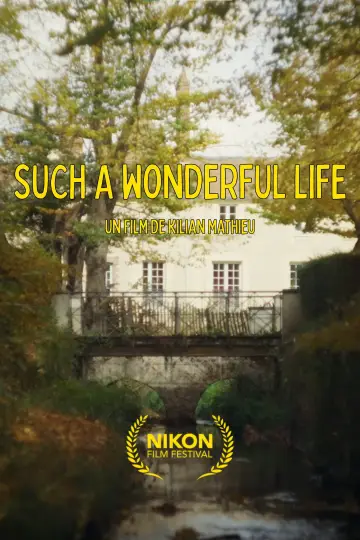 Plakat do filmu "Such a Wonderful Life (long version)" #1196555