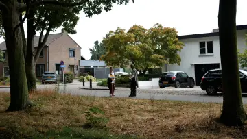 Zasłona do filmu "De Sidequest" #1598666
