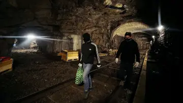 Zasłona do filmu "Tunnel Vision" #1718065