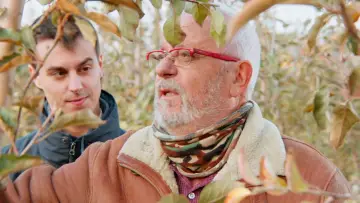Zasłona do filmu "Entre Mitgeres" #1632512