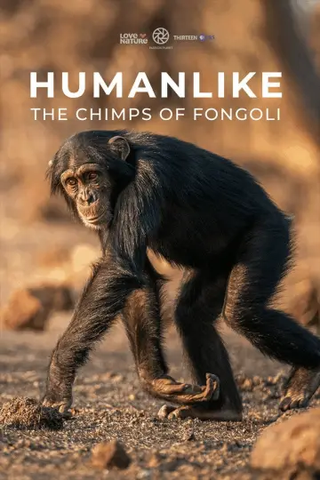Humanlike - The Chimps of Fongoli