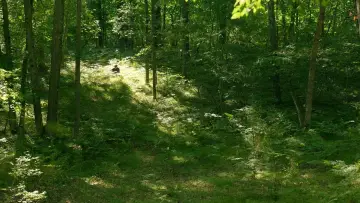 Zasłona do filmu "Jacob McLeod: Leelanau" #1629674