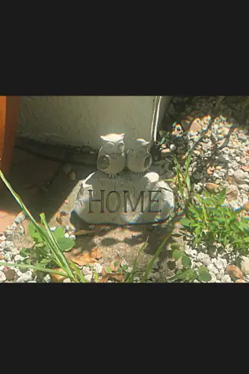 HOME.mp4 plakat