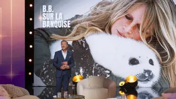Zasłona do filmu "Brigitte Bardot - Le combat en héritage" #1285384