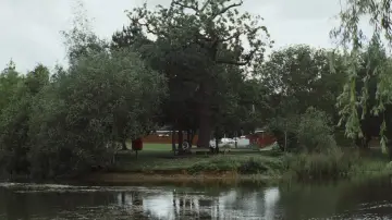 Zasłona do filmu "Fool