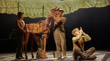 Zasłona do filmu "National Theatre at Home: War Horse" #1899618