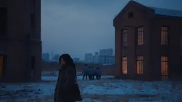 Zasłona do filmu "有一场雪" #1582300