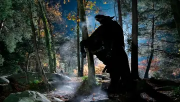 Zasłona do filmu "Meurtres à Fontainebleau" #1573928