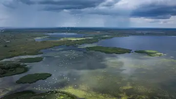 Zasłona do filmu "Delta Sălbatică" #1746821