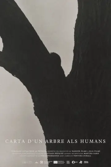Carta d’un arbre als humans