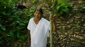 Zasłona do filmu "ചെവിട്ടോർമ്മ" #1573024