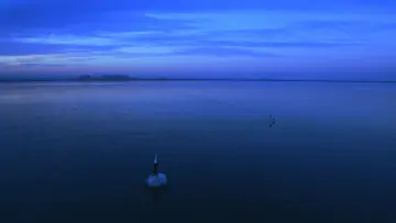 Zasłona do filmu "Boca do mar" #1584835
