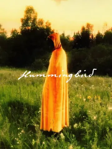 Hummingbird plakat