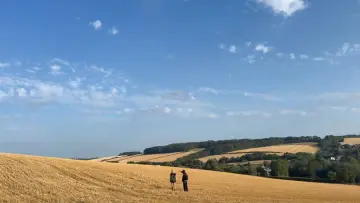 Zasłona do filmu "adrift" #1637504