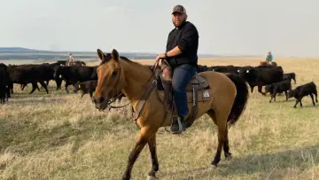 On les appelle cowboys plakat