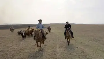 Zasłona do filmu "On les appelle cowboys" #1812169