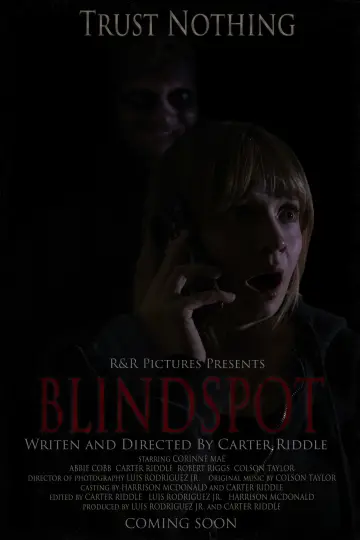 BLINDSPOT plakat